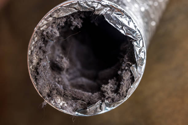 Best Local Air Duct Cleaning Services  in East Hemet, CA