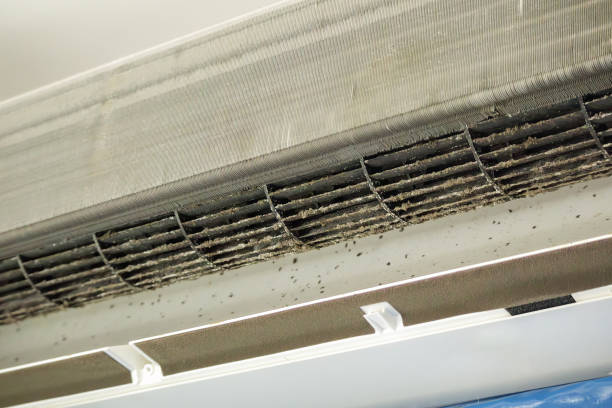 Best Professional Duct Cleaning Services  in East Hemet, CA